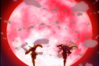 Shion et Dohko