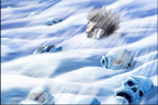 Seiya dans l'enfer de glace du Cocyte