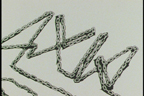 AXIA