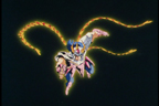 Ikki du Phénix