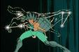Saint Seiya épisode 7 : Nachi le chevalier de Bronze du Loup