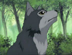 Inuki