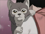Inuki